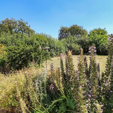 Hops Cottage Ashbourne  Extérieur photo